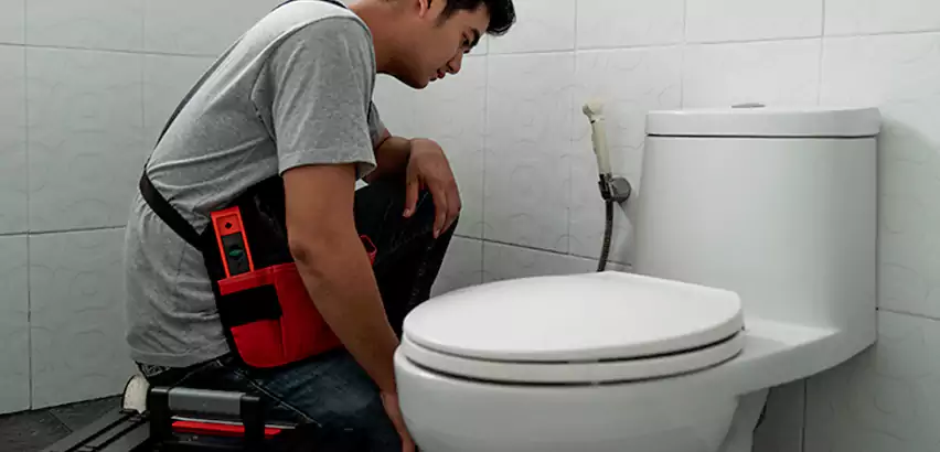 Toilet Repair in Grayslake