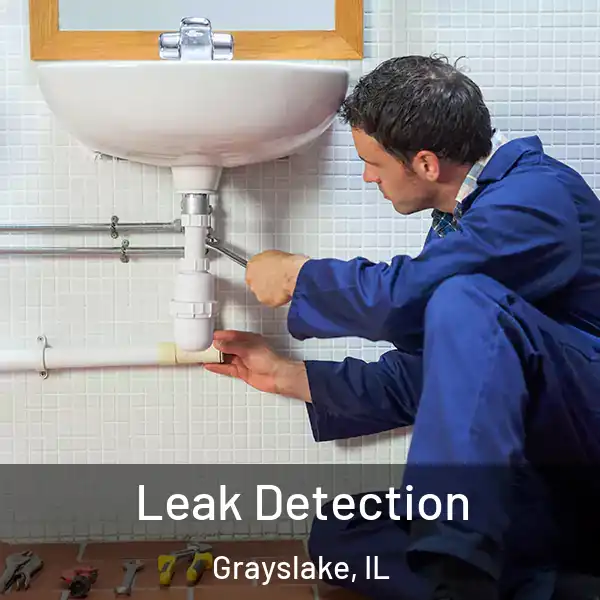  Leak Detection Grayslake, IL
