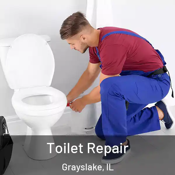  Toilet Repair Grayslake, IL