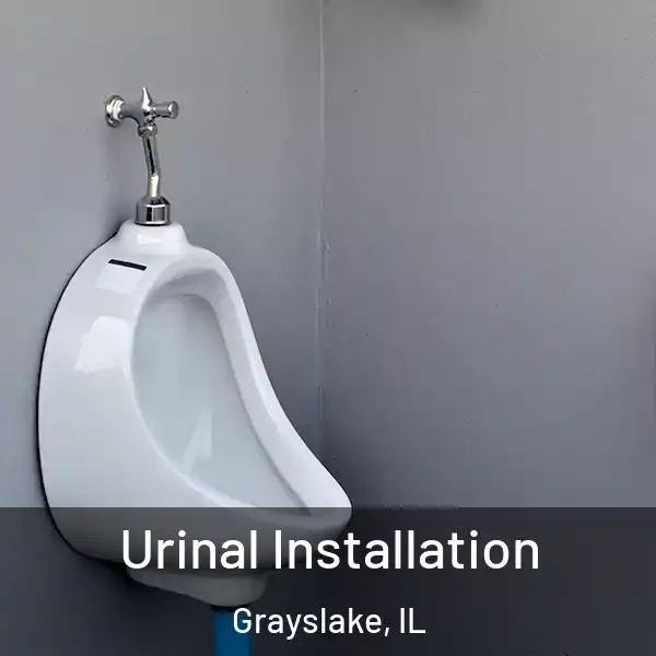  Urinal Installation Grayslake, IL