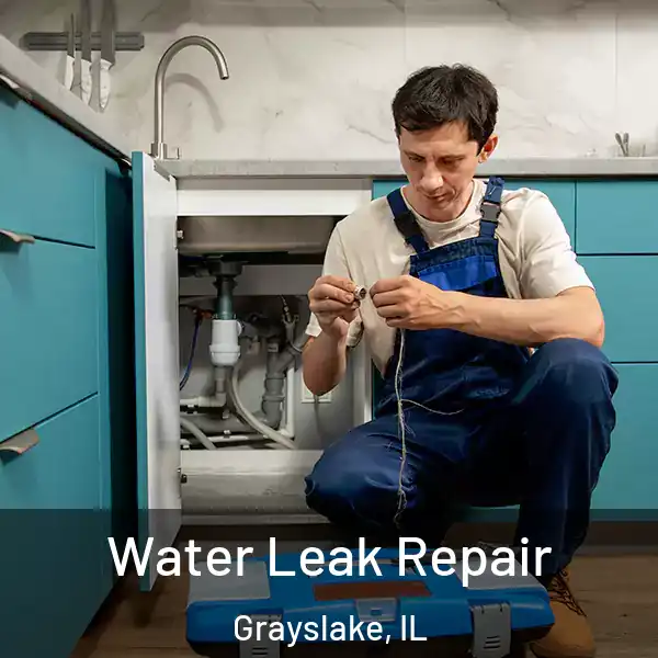  Water Leak Repair Grayslake, IL